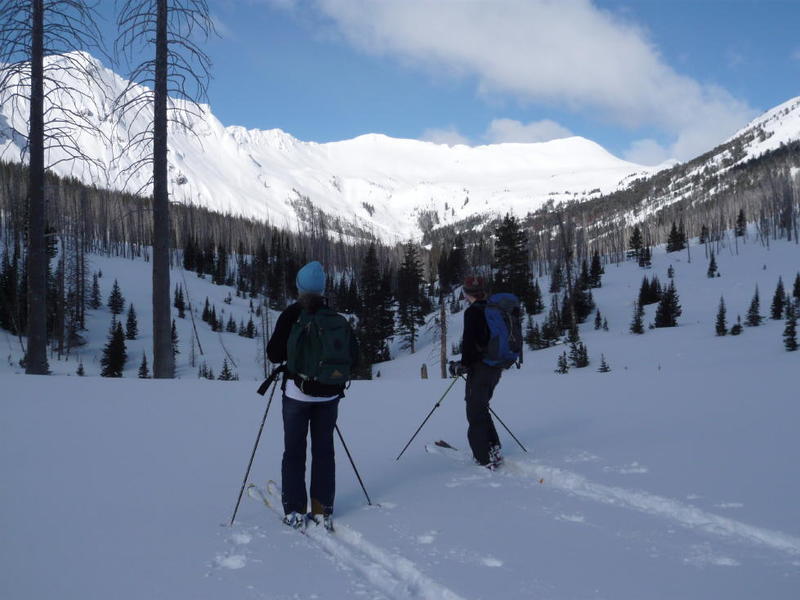 Scoping out ski lines upon entering Sheep Basin.  The low-angle/high avalanche danger day terrain is out of view to the left.