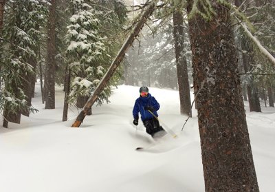 Cruising silk in Wow Woods