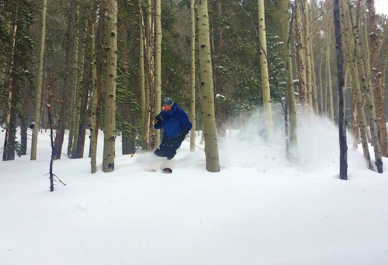 Easy aspen glading.