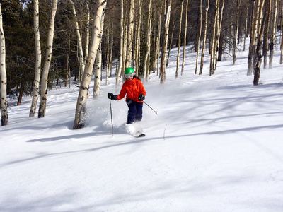 Finishing off the aspens at the bottom of the Way WFO.
