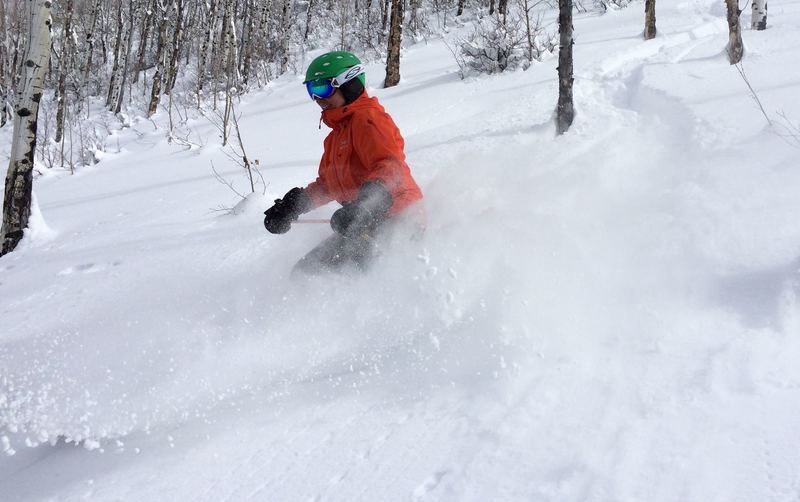 Deep snow in the lower West Vail Trees