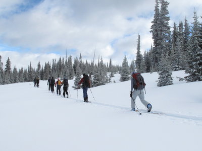 Out for a day tour from the Polar Star Inn