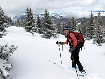 Climbing up the Polar Line