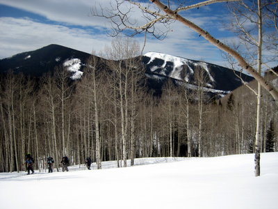 Climbing up through the open aspens