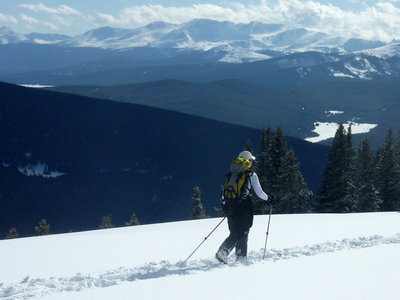 Heading out to the SE Trees