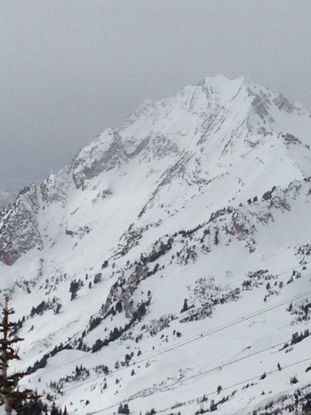 The southern & eastern flanks of Superior as seen from Grizzly Gulch. Suicide Chute is the obvious line on the far left.