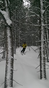 Nice open slots through the Divide Trees