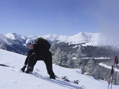 Another blue bird day