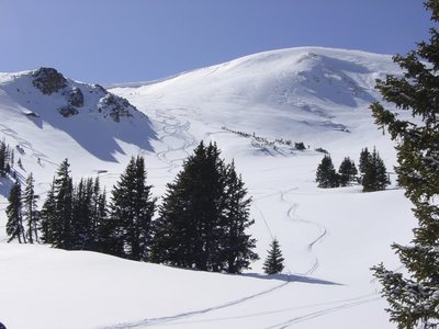 Looking back up Skullbite area. The North chutes of Mt. Russell can be seen to the right.