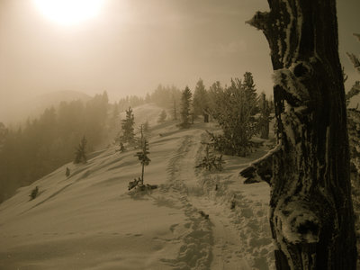 Looking South toward the Summit of Mount Ellis on the North Ridge.
