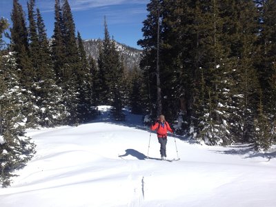 Just coming out of tree line.