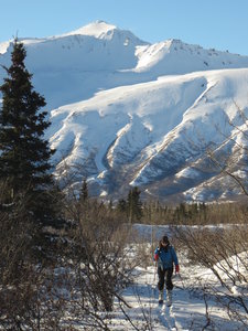 Raphaelle navigates the alders down low on the approach