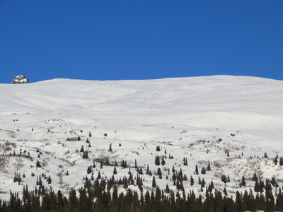 View of the Devils Thumb Ridge slopes from the start of the trail. The easiest approach tends to be right up the middle.