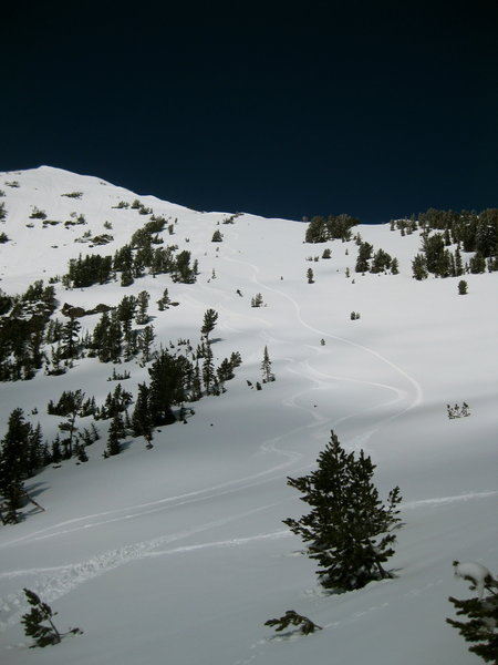 The intermediate powder fields of Mount Blackmore's east face.