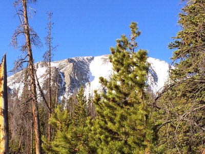 View of Buffalo Mountain from early on the approach