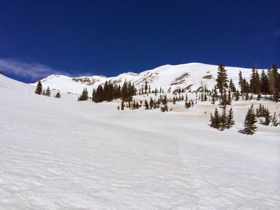 Finally made it out of the trees and onto the "catchers mitt".  In the home stretch.  Okay, maybe not, still a pretty big ascent ahead.