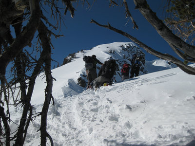 Looking toward the summit of Albright Peak.