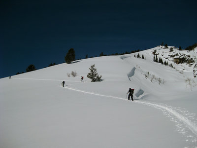 Down low on the ascent to Albright Peak.