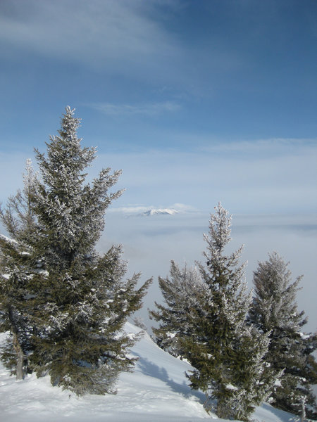 The Bridger Range above a sea of clouds as viewed from Mount Ellis.