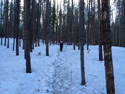 My partner: Collin hiking the South Willowbrook Trail