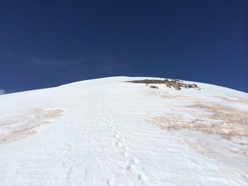The last leg of the approach.  On the upper ridge-line of Red Peak.