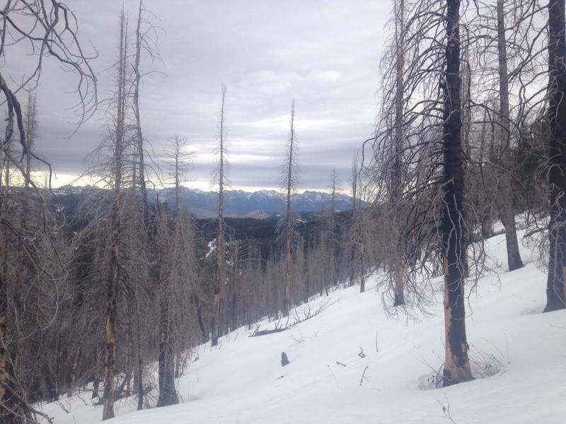 Looking SE across the some of the skiing terrain. A small burn area.