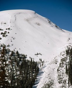 Halfway down The Professor on a gorgeous powder day