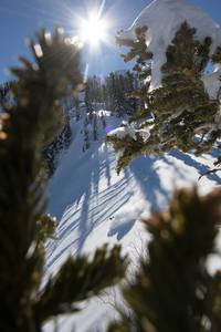 harvesting a good day