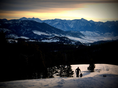 The Absaroka Beartooth Wilderness as seen from Chestnut Ridge at sunrise.