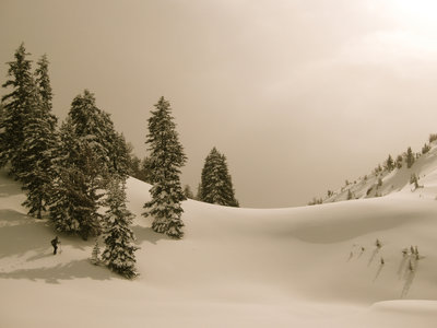 Near the Bridger Teton Wilderness