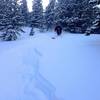 Skiing the trees just north of the Chute. Like I said, this place gets DEEP and holds snow long after the last storm.