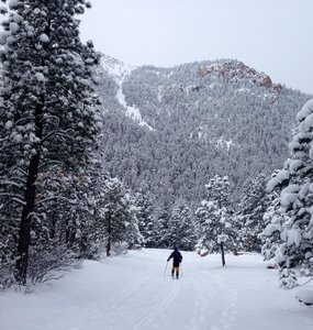 The approach to the Diamond Couloir on old Gold Camp Road. It is the very obvious line in the upper left section of the photo.