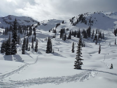 The left skin track is the general direction that you would want to ascend to get toward Honey Glazed and Very Desirable. The run itself is just to the left (lookers) of the face looking mountain ("tenzing") in the background.