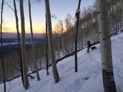 Looking out over the flattops from Old Powderhorn