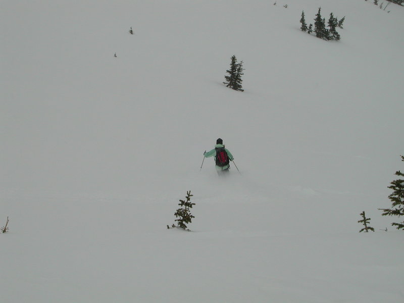 Skiing the Lost Lake glades