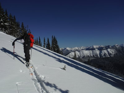 Skinning with a view.