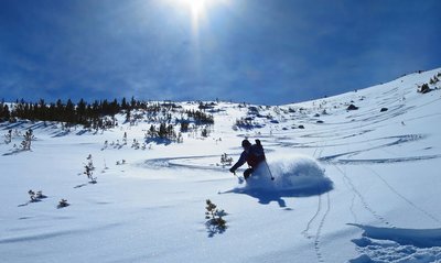 Jeff zippers some pow off the top of Mt Olsen. 35 degree north-facing slope with 1800' descent.