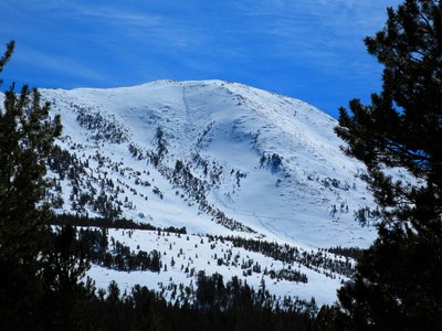 Mt Olsen, 11183', from Virginia Lakes Rd. A variety of 30-40 degree north facing slopes to choose from with easy access.