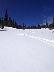 Fantastic low angle turns!