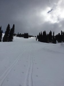 Skin track ascending Alpine