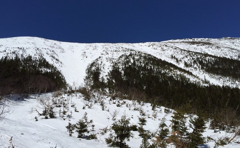 Bottom of Gulley #1 - April 13th, 2015