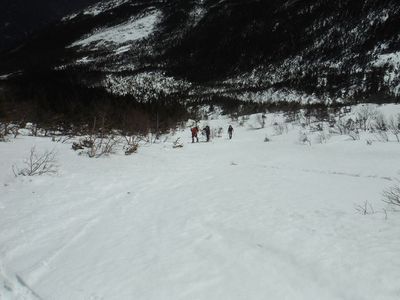 Looking down from 3/4 way up the field - 04.13.15