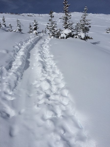 Skin track heading up to the top of Caribou