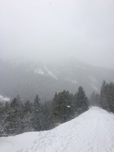 Looking up from the approach onto the Diamond Couloir, the top is hidden in the clouds