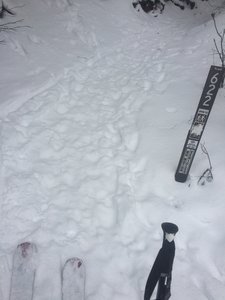 Base of the diamond couloir ascent. Be prepared for some heavy duty switchbacking! You might be better off carrying your skis until you break treeline
