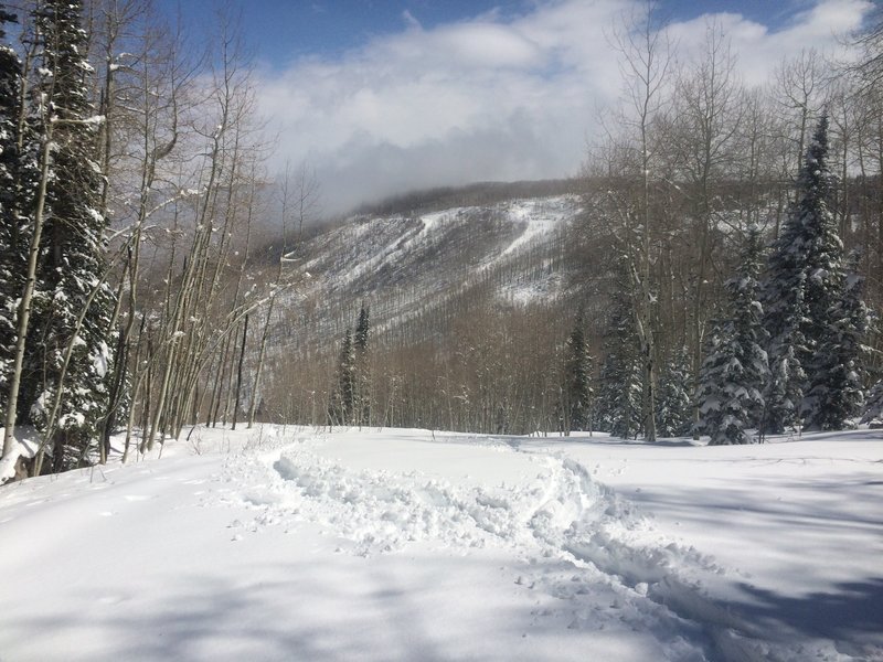 Here is the top of Prewis, there is an old Cat trail at the back of this flat clear area that leads to the Lift Run