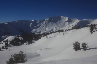 Making some buttery corn turns - in January - before we get to Tenderfoot Pass. Sentinel Peak is in the center of the photo. (Photo Credit: Camrin Braun)