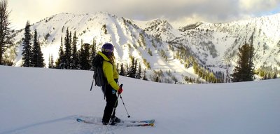 Looking West from the top of the Backyard.