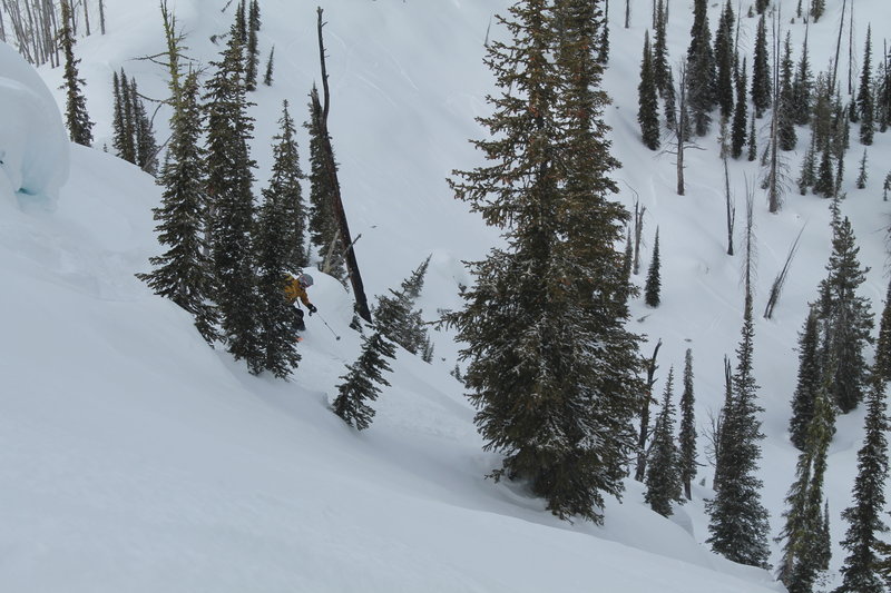 Dropping in to the upper section.  Brady gets some powder in the trees.