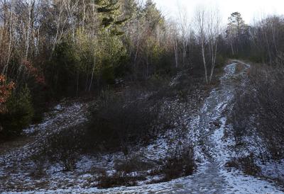 Bottom of the line in the spring